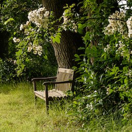 The Meadow Garden